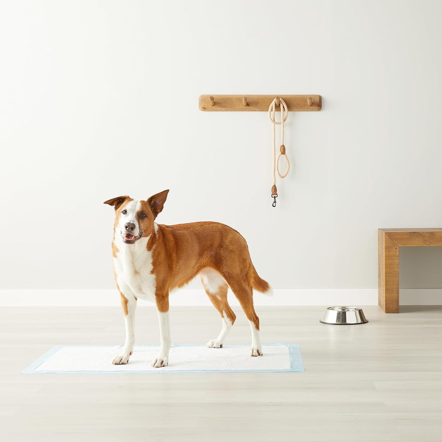Amazon Basics Almohadillas absorbentes para orinar para perros y ca...