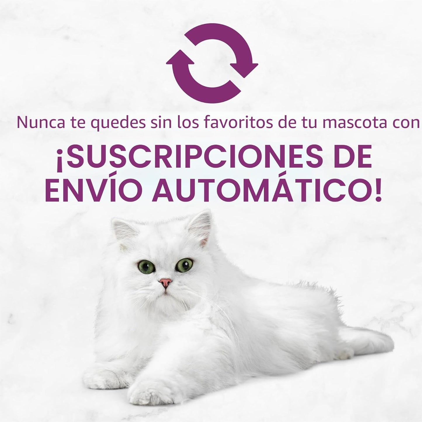 Purina Fancy Feast Savory Centers - Paquete variado de paté de comi...