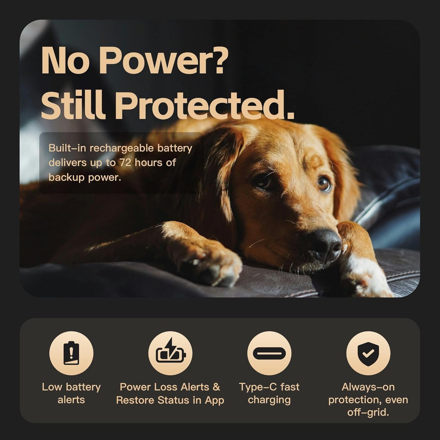ALAZUR Monitor de temperatura celular para seguridad de mascotas en...