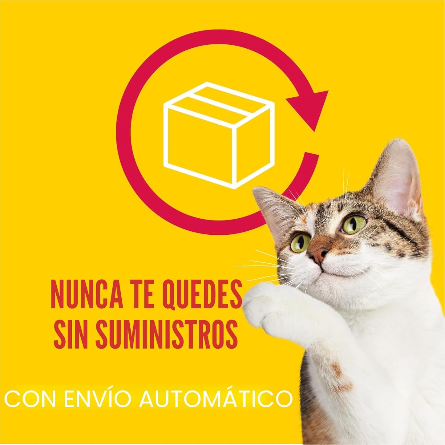 Purina Friskies - Paquete variado de alimentos húmedos para gatos e...