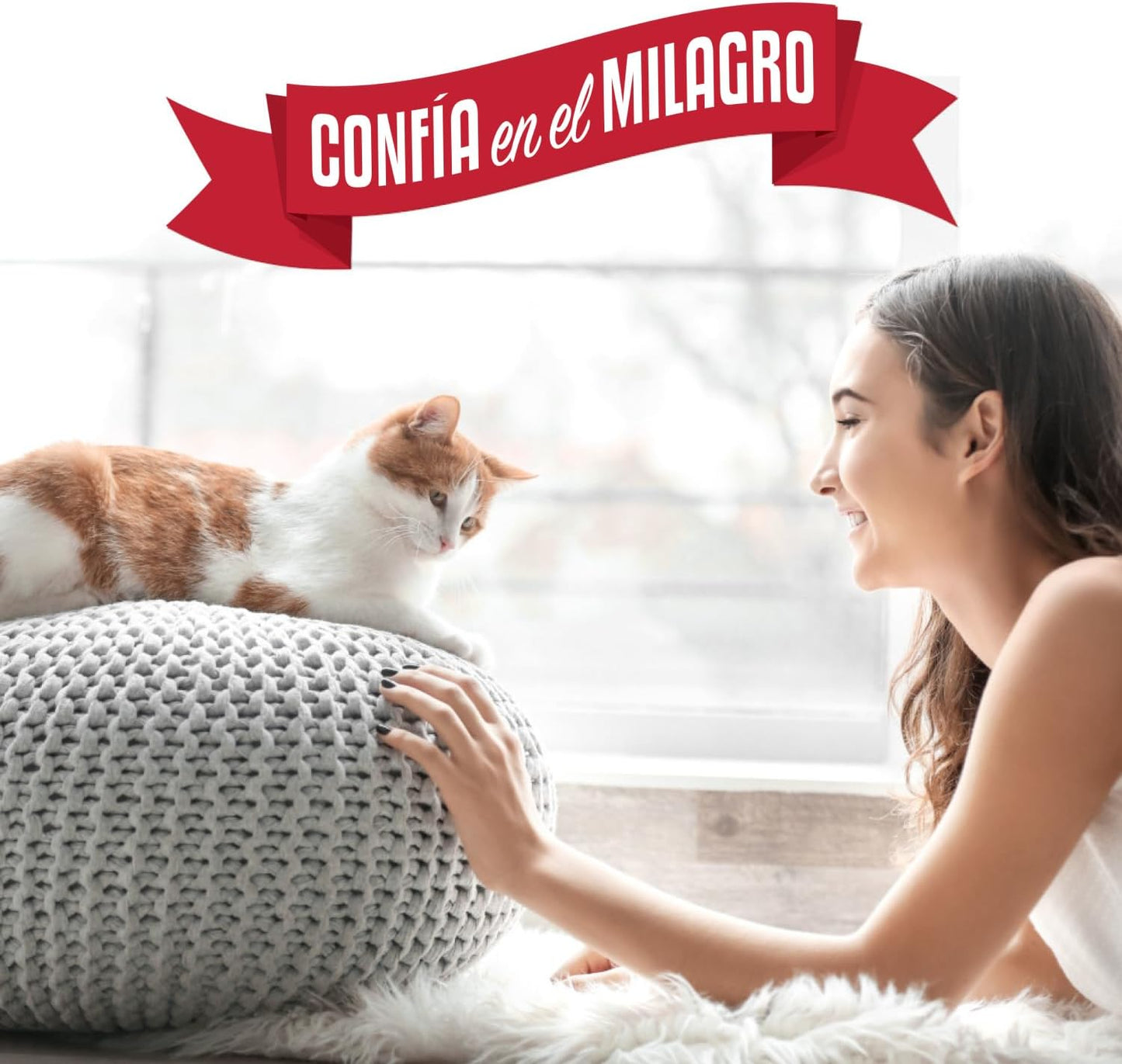 Nature's Miracle Destructor de Orina Plus para Gatos, Fórmula E...