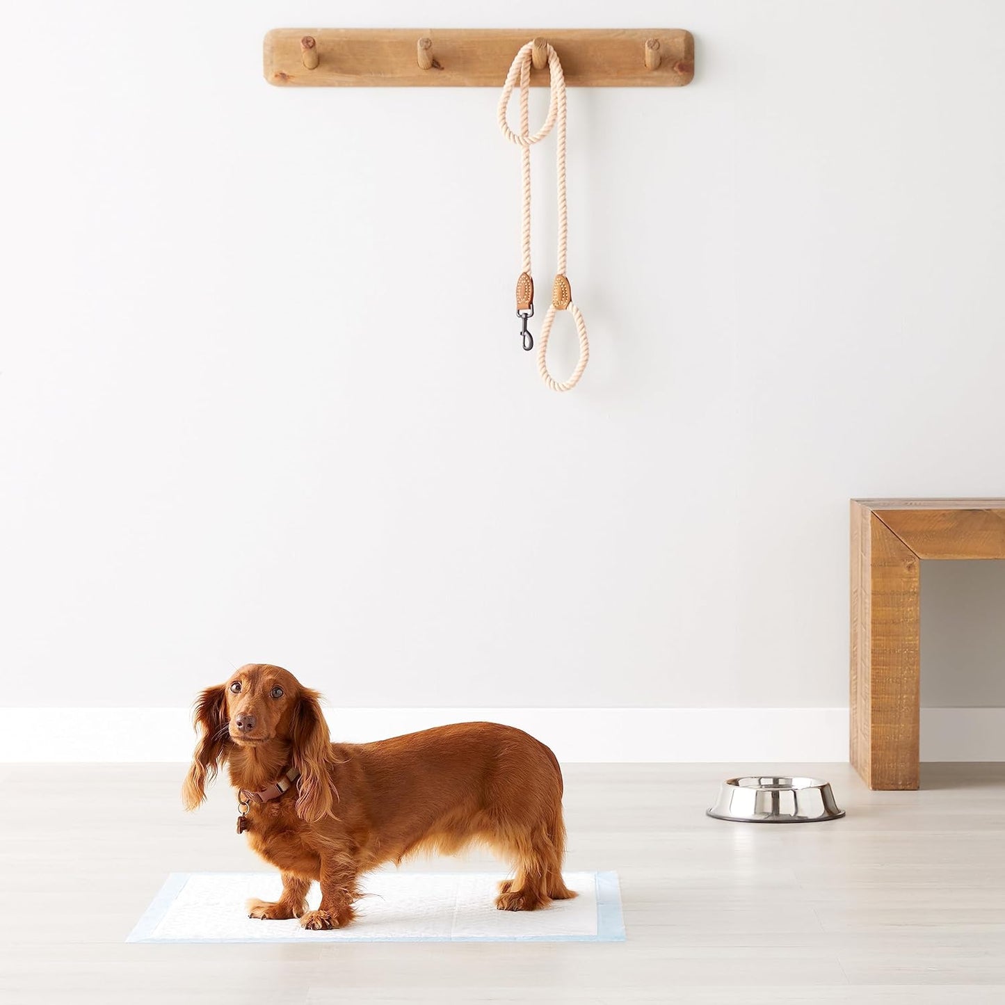 Amazon Basics Almohadillas resistentes para orina de perros y cacho...