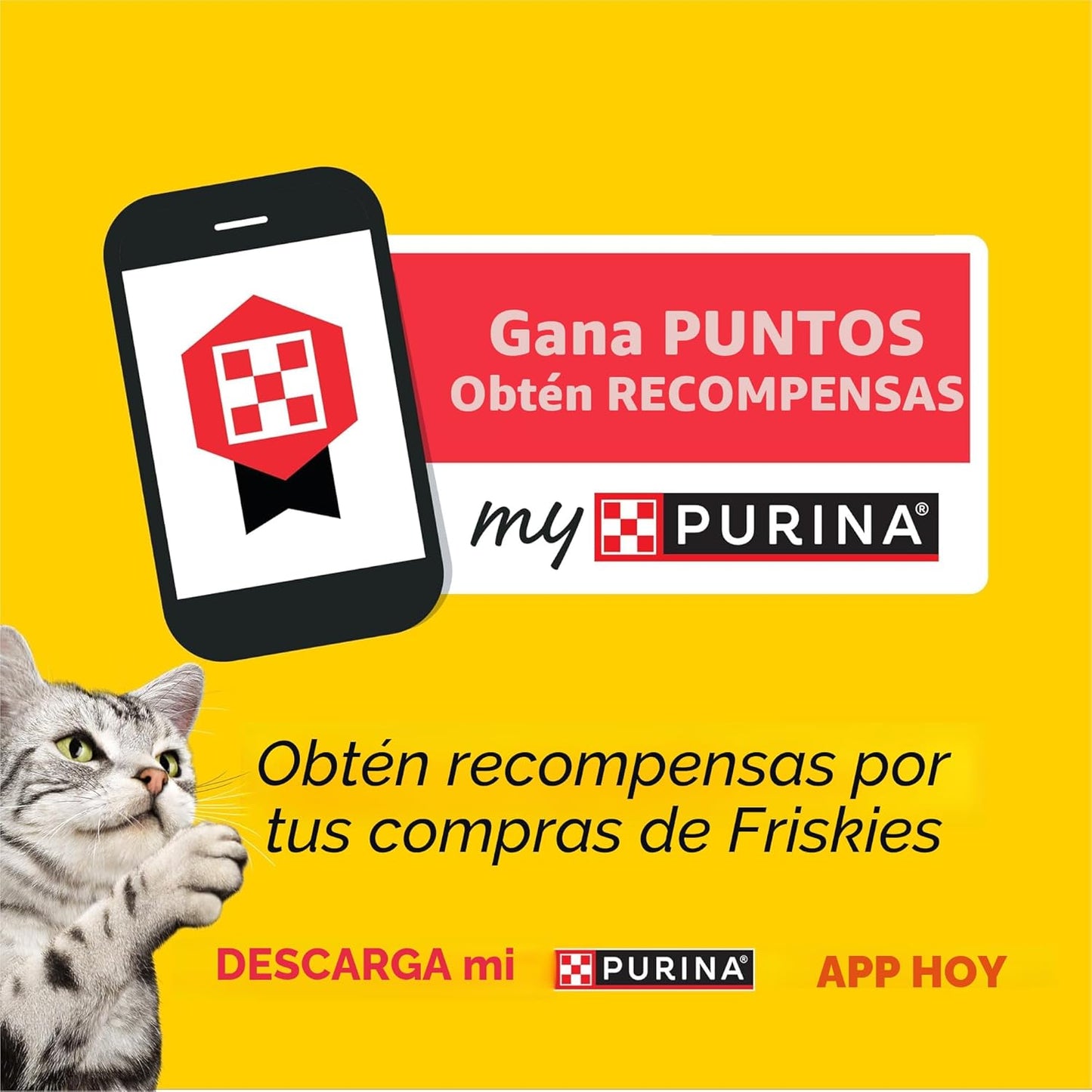 Purina Friskies - Paquete variado de alimentos húmedos en salsa par...
