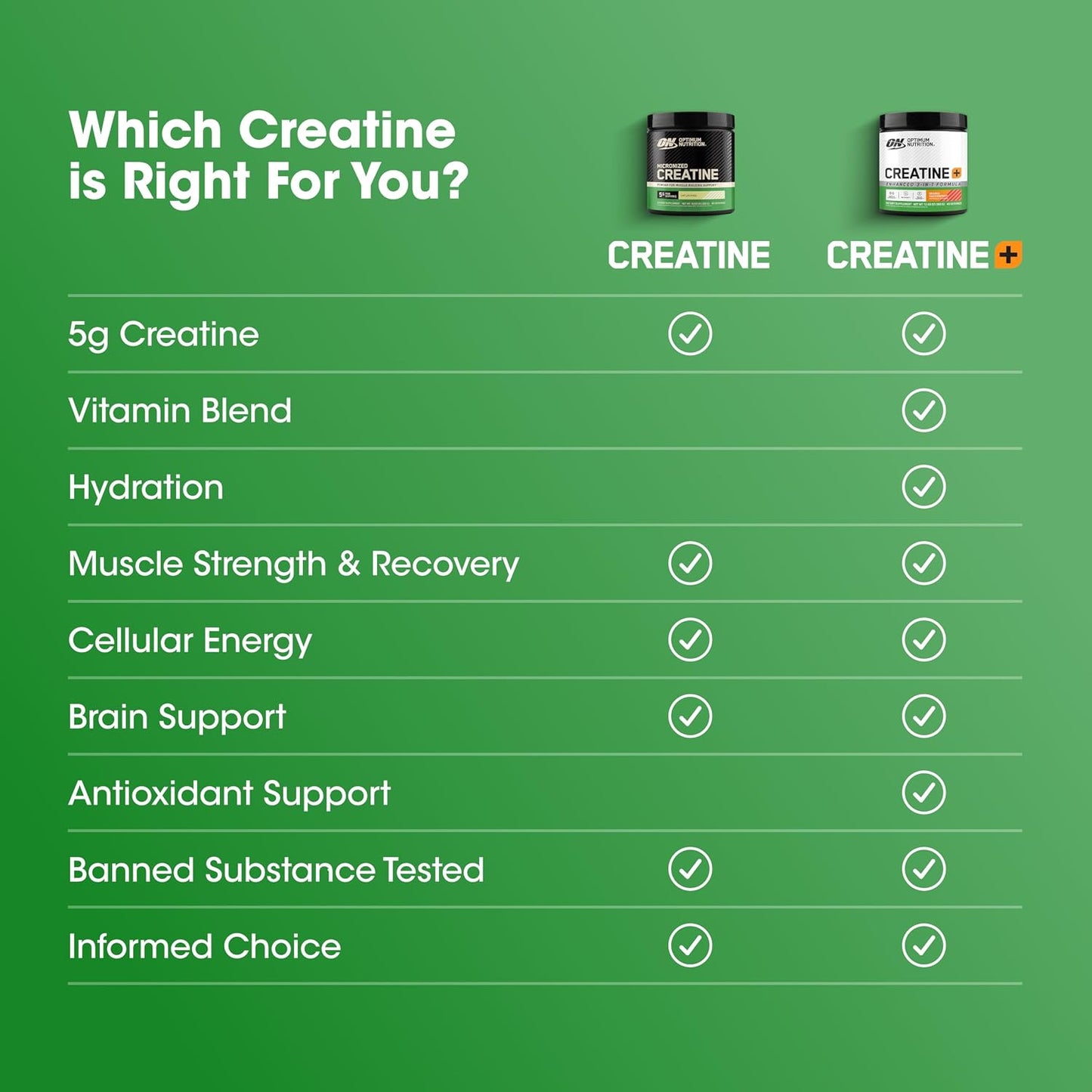 Optimum Nutrition Creatina Micronizada Monohidrato en Polvo, Sin Sa...
