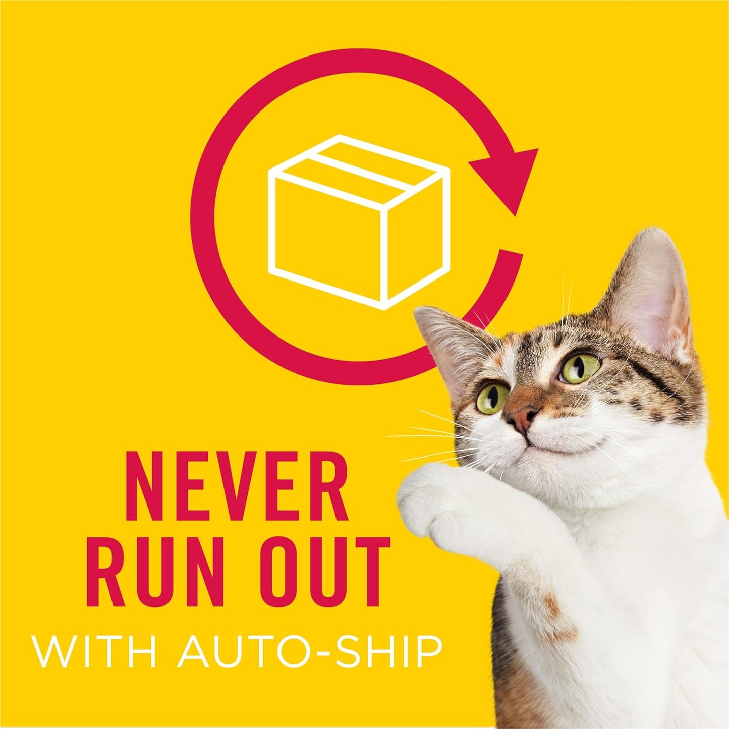 Purina Friskies - Paquete variado de alimentos húmedos para gatos,...