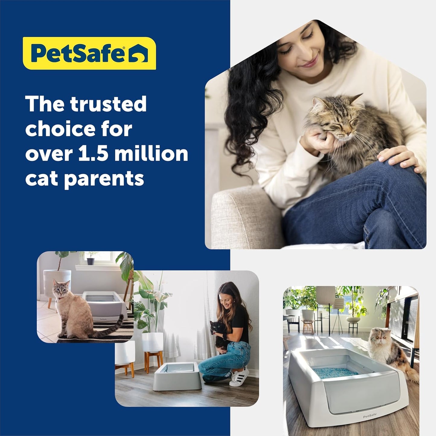 Arena para gatos que no se aglutina de acción con cristal de alta c...