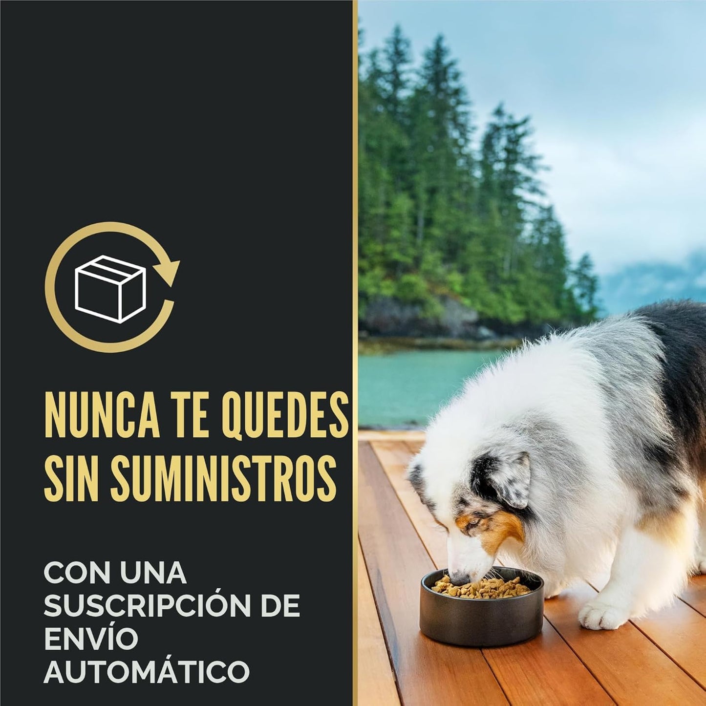 Purina Pro Plan Complete Essentials - Alimento seco para perros con...