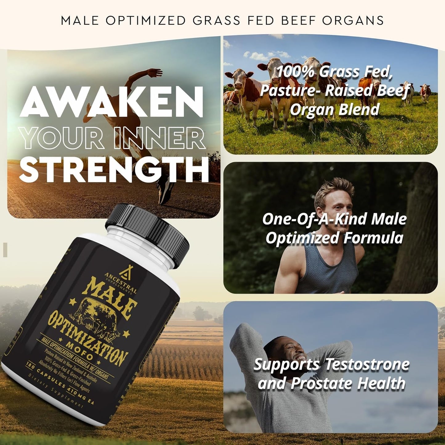 Ancestral Supplements Mofo, Suplementos para Hombres, Apoyo para Ni...