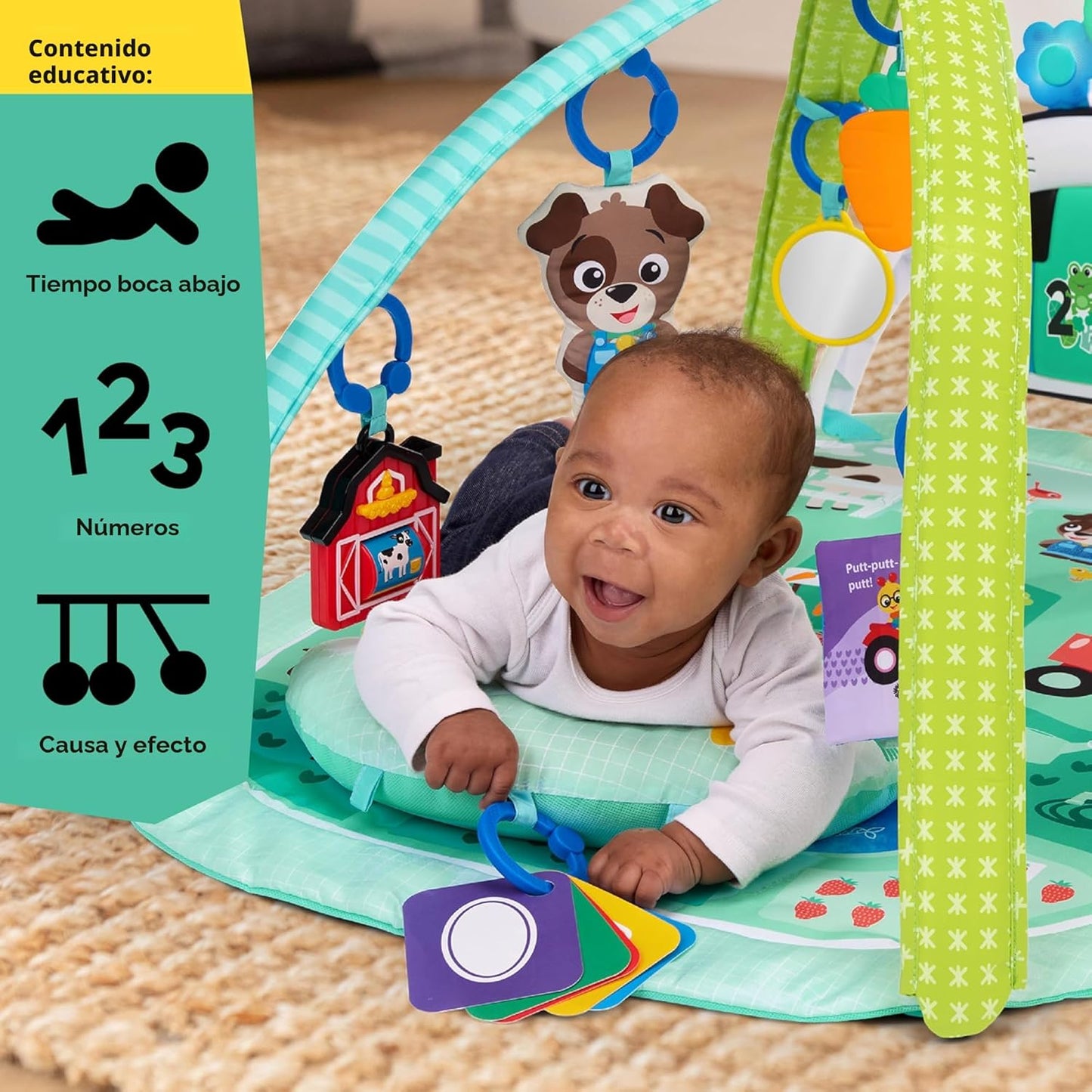 Baby Einstein Farm Explorers 4 en 1 Kickin' Tunes Musical Meadow Mu...