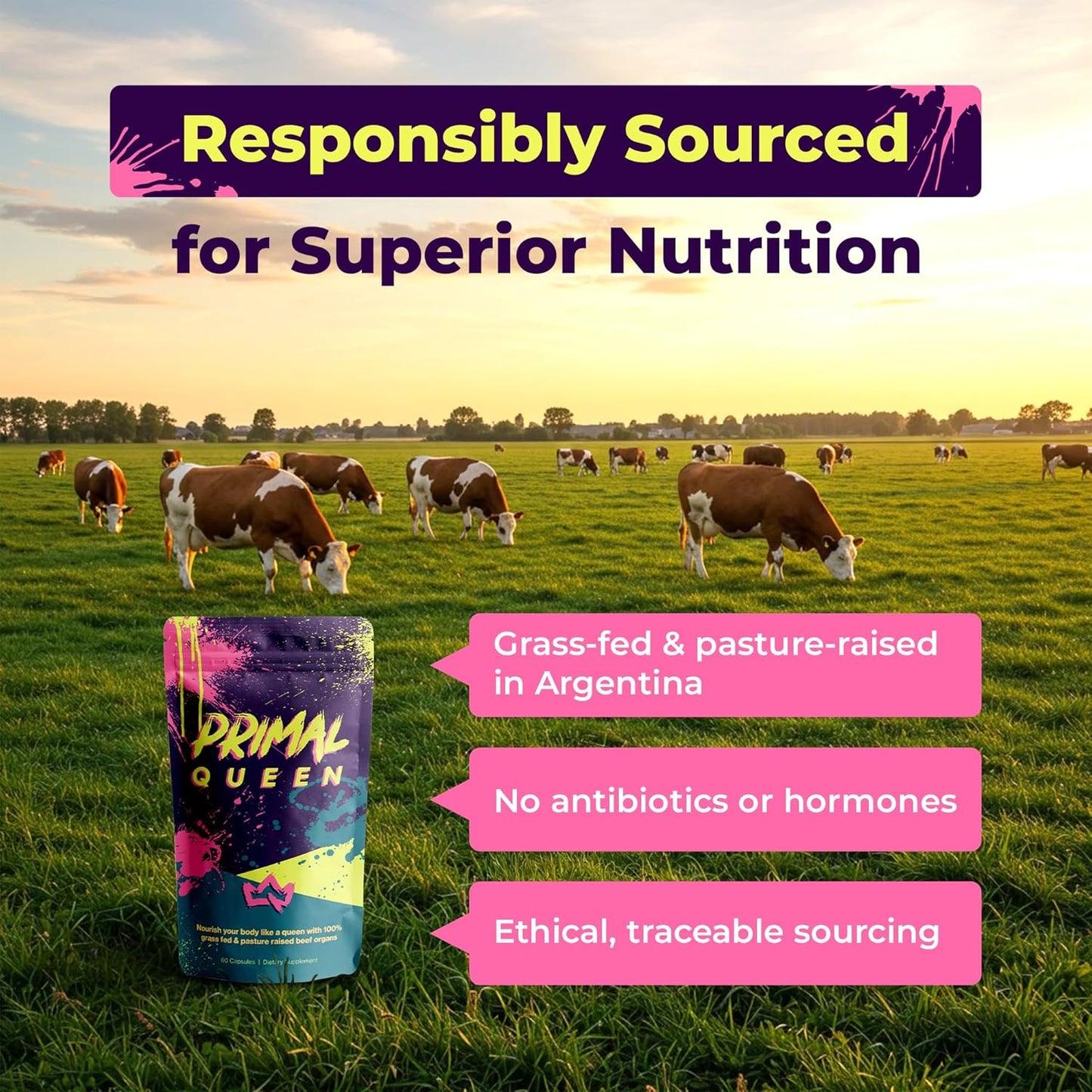 Primal Queen Suplemento superalimento de órgano de res optimizado p...