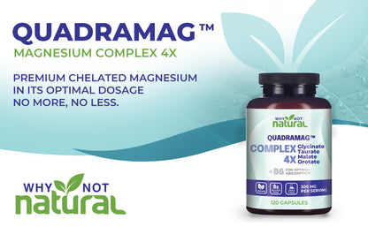 Suplemento Complejo de Magnesio 4 en 1 - Mezcla de glicinato, taurato, malato y orotato - 300 mg por porción, 120 cápsulas