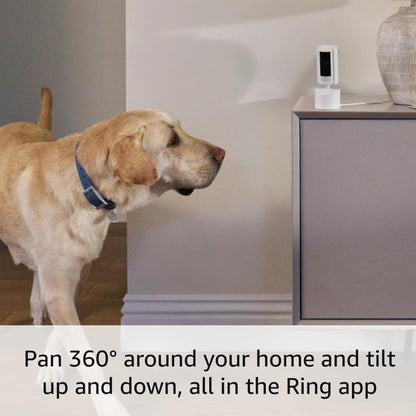 Cámara para interiores con movimiento Ring: ve lo que pasa en tu ca...