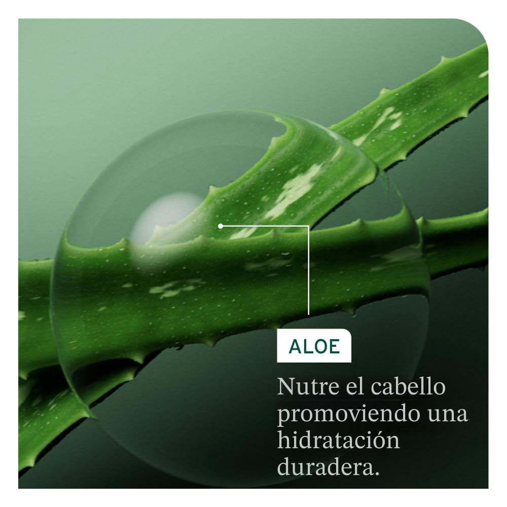Biolage Hydra Source - Tónico diario de uso diario, hidrata y desen...