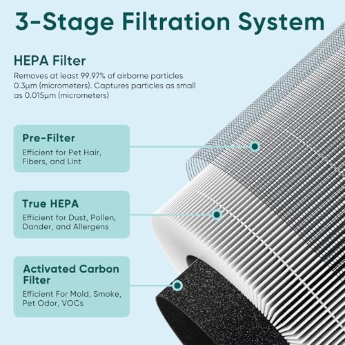Purificador de aire y 2 filtros de repuesto para el hogar y el dorm...