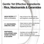ANUA Rice Ceramide 7 Suero Hidratante de Barrera, Suero Hidratante...