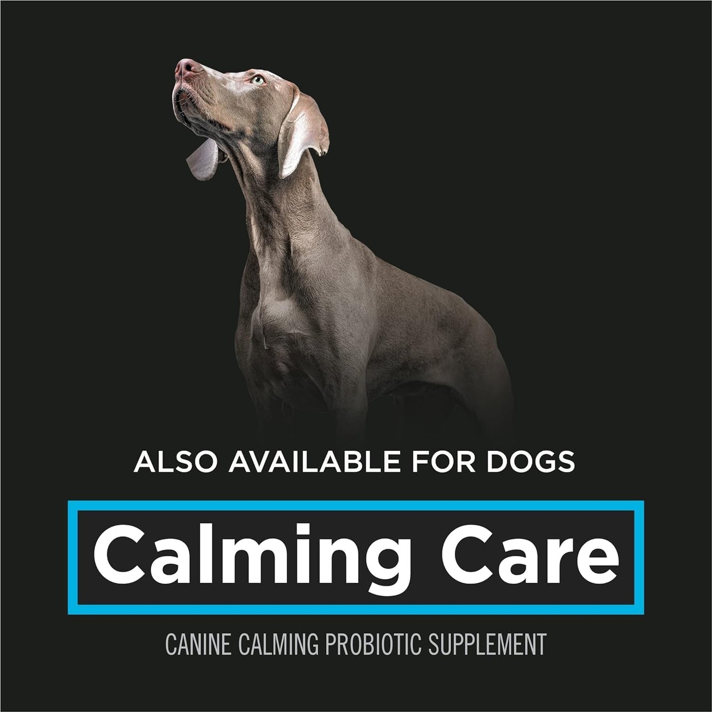 Purina - Suplementos veterinarios Pro Plan, suplementos calmantes p...
