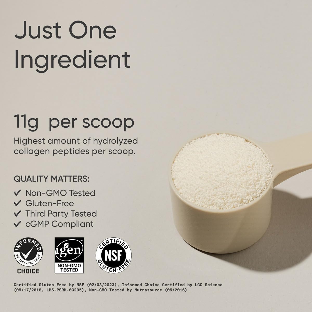 Sports Research Péptidos de colágeno \u2013 Polvo de proteína de co...