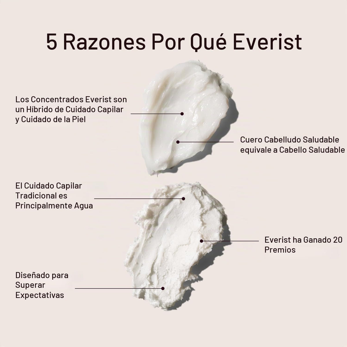 Everist Haircare Meets Skincare Set Champú y acondicionador profund...