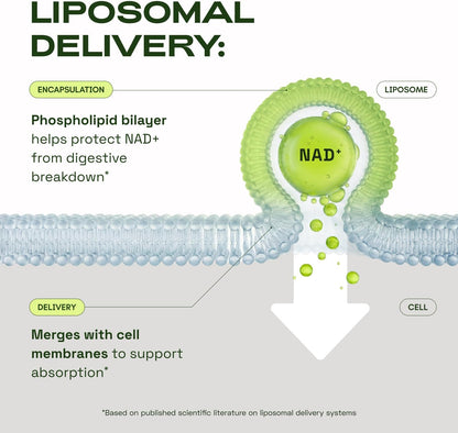 Cata-Kor Suplemento liposomal de NAD con resveratrol - Alternativa...