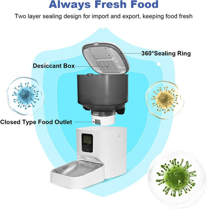 Comedero automático para gatos, dispensador de comida para gatos de...