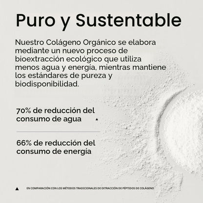 Sports Research - Péptidos de colágeno - Suplemento de proteína de...