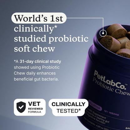 PetLab Co. Probióticos para perros, ayudan a la salud intestinal, l...