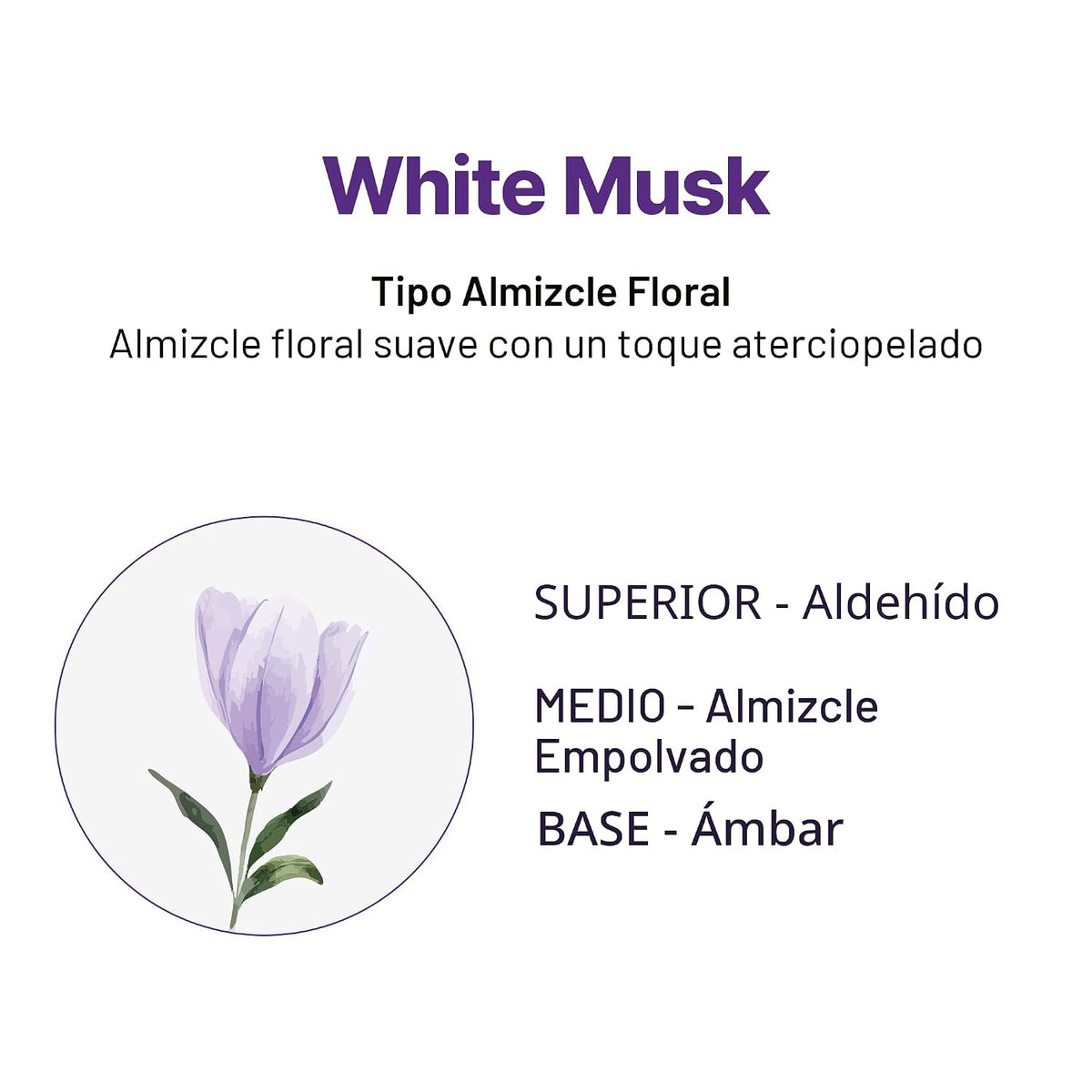 KUNDAL Juego de champú y acondicionador coreano [White Musk] calida...