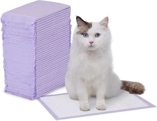 Amazon Basics - Almohadillas para orines de gato, 40 unidades, ajus...