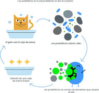 Boxie Arena Probiótica para Gatos, Control de Olores de 40 Días, Ar...