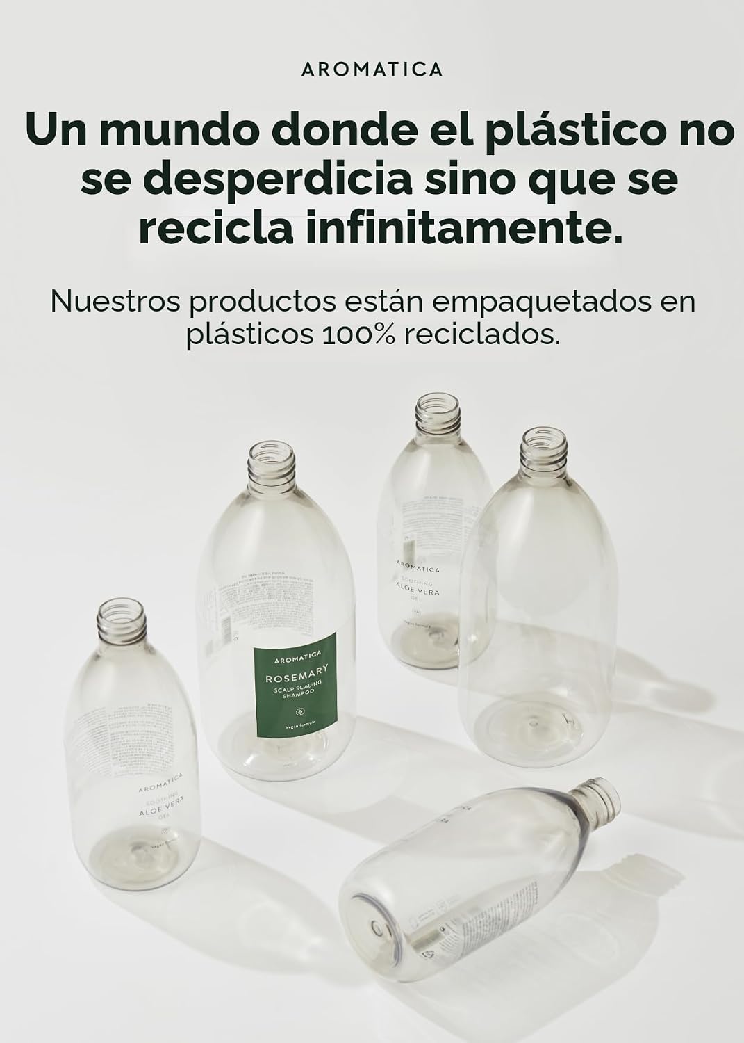 AROMATICA Set de champú y acondicionador para escamar el cuero cabe...