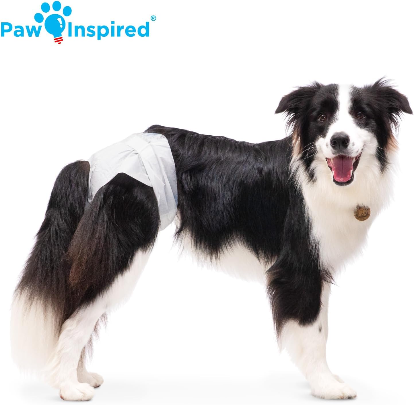 Paw Inspired 20 unidades de pañales desechables para perros | Pañal...