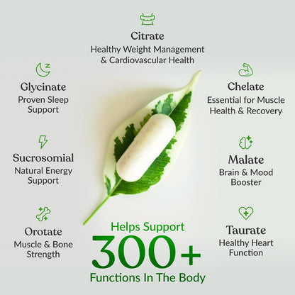 BIOptimizers Suplemento Magnesium Breakthrough con 500mg - 7 Formas...