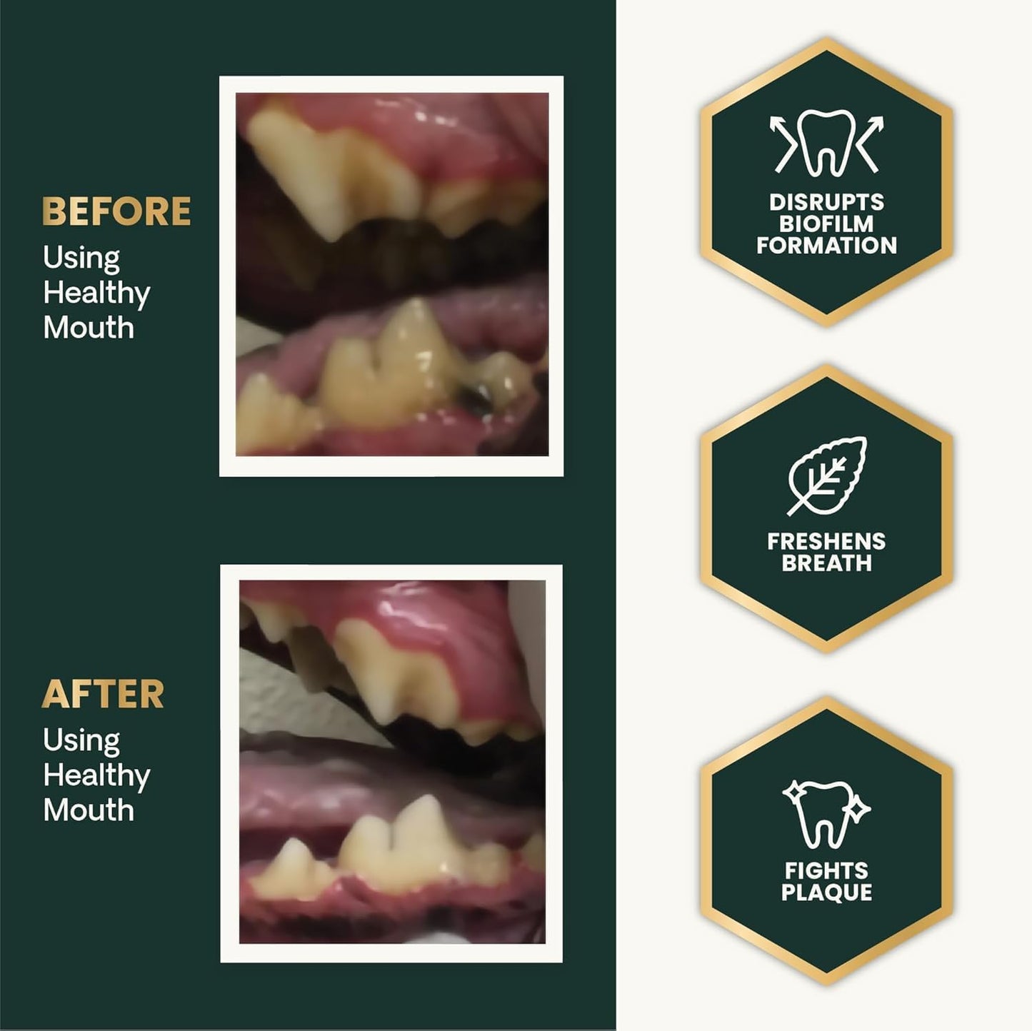 VetriScience Polvo dental para perros de boca saludable, paquete de...