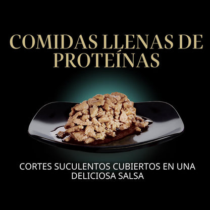 SHEBA Perfect Portions - Bandejas de comida húmeda en salsa para ga...