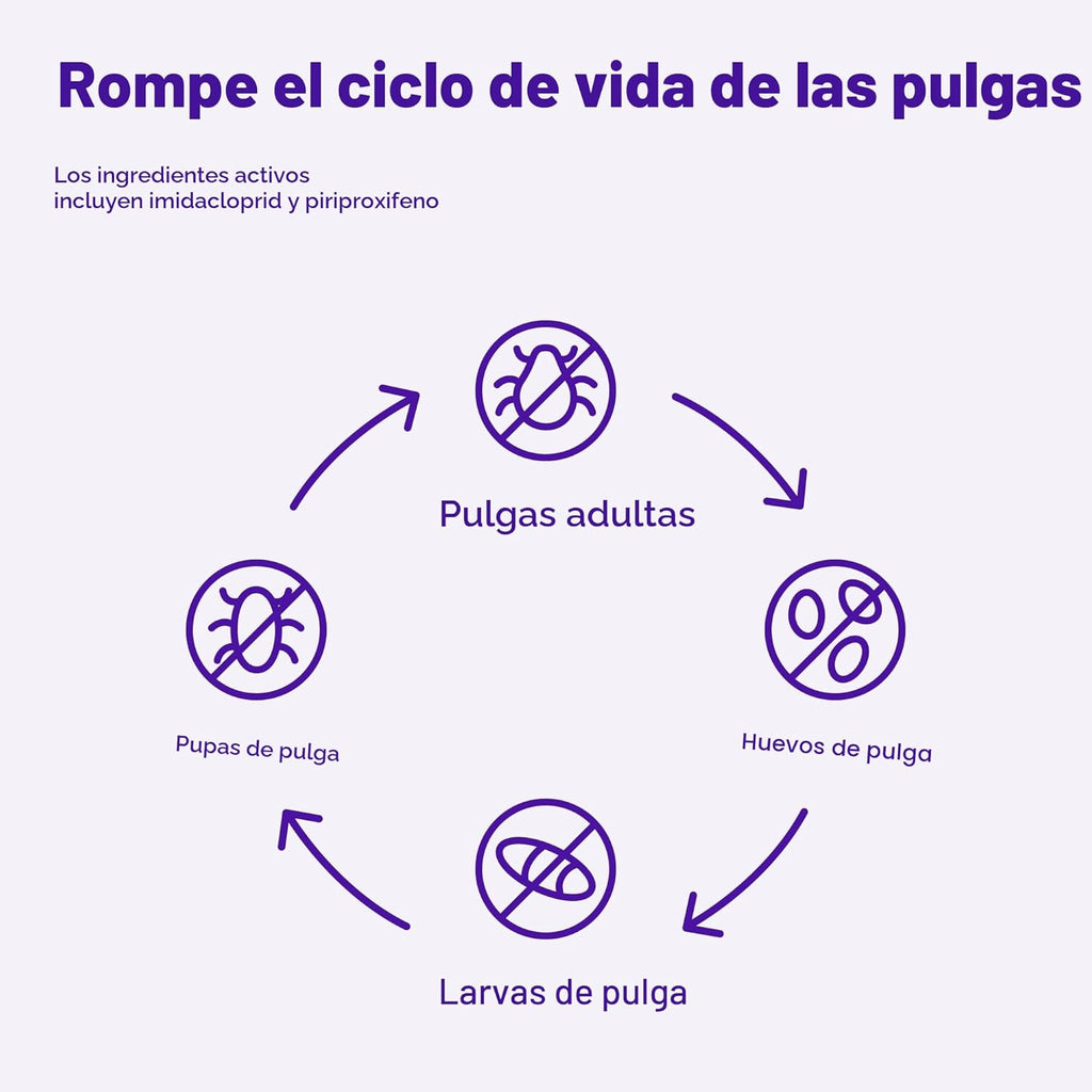 Amazon Basics Tratamiento tópico preventivo contra pulgas para gato...