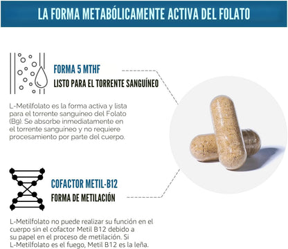 L Metilfolato 15mg Plus Metil B12 Cofactor \u2013 Alta Potencia, Fo...