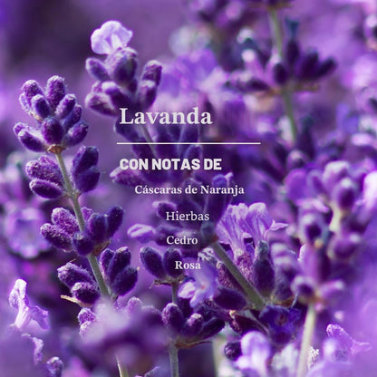 Mrs. Meyers Clean Day - Repuesto de jabón para manos, esencia lavanda