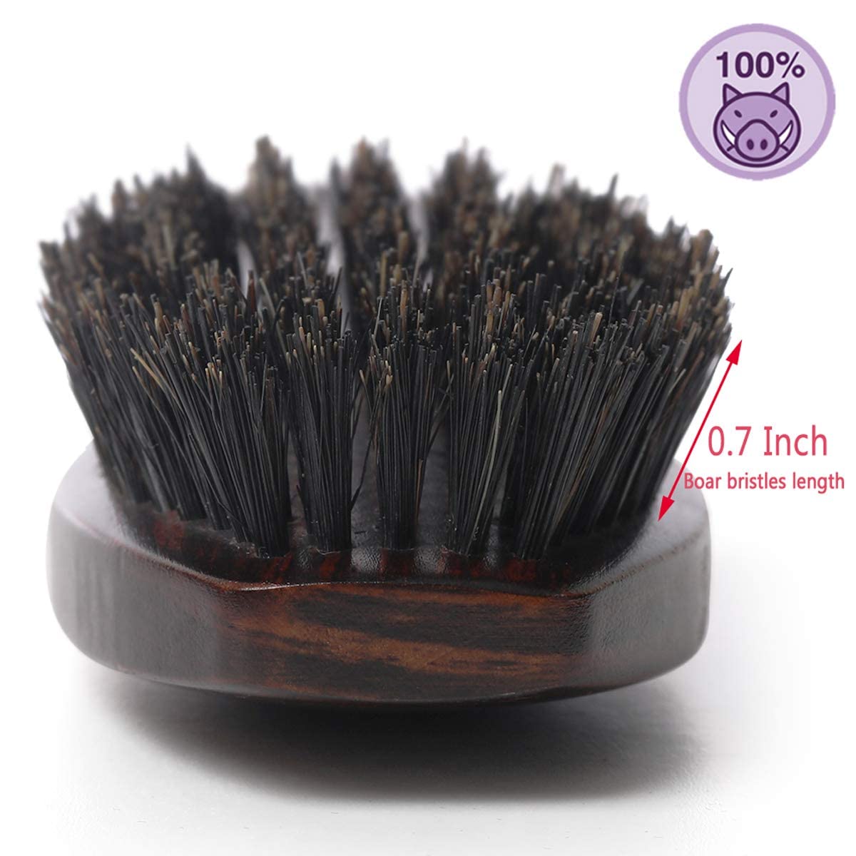 PERFEHAIR Cepillo de pelo de cerdas de jabalí natural 100% salvaje con mango de madera para hombres y mujeres cabello fino