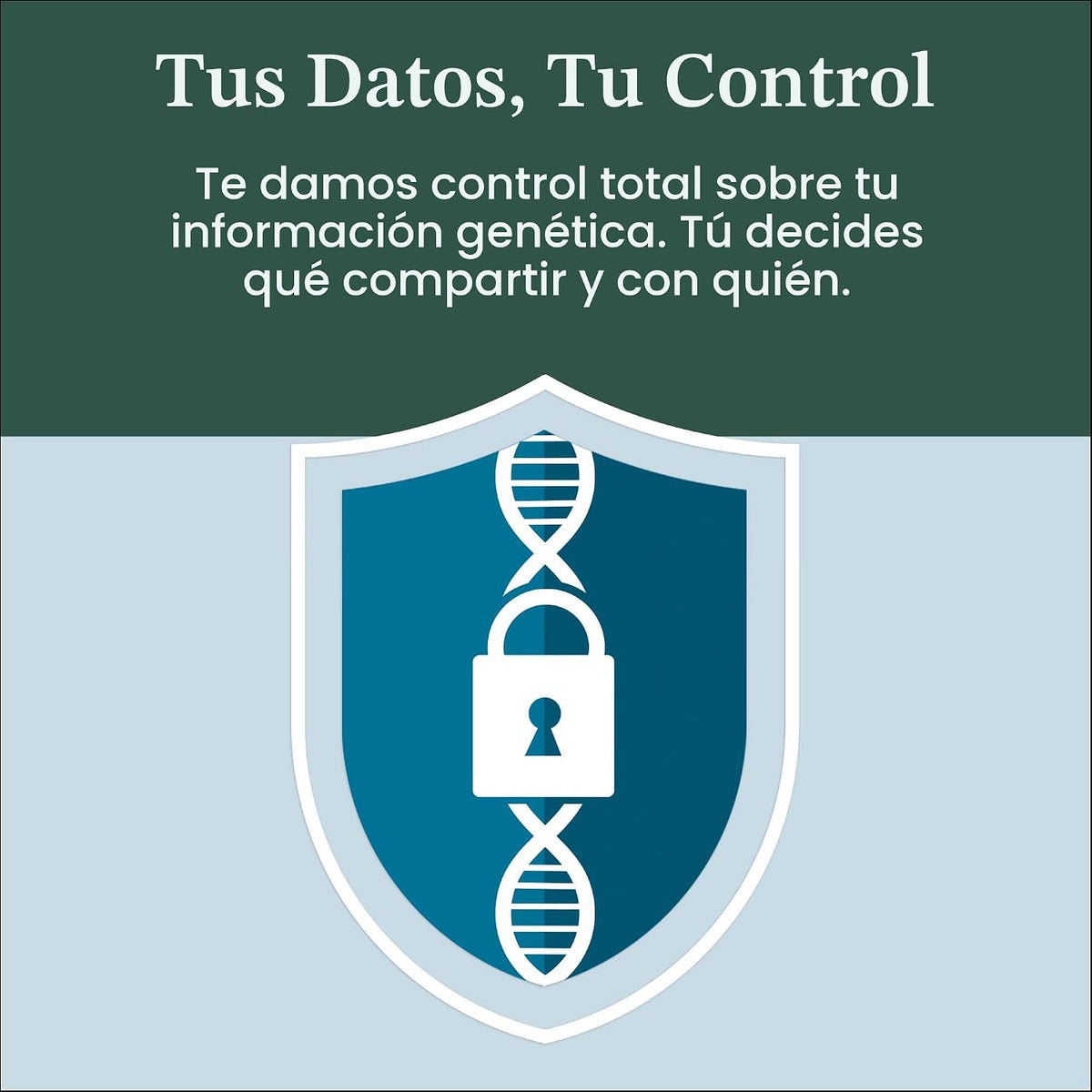 AncestryDNA + Kit de prueba genética de rasgos: rasgos genéticos pe...
