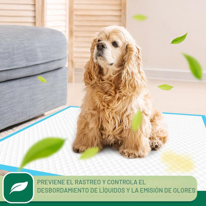 IMMCUTE Almohadillas para cachorros de 22 x 23 pulgadas, 100 unidad...