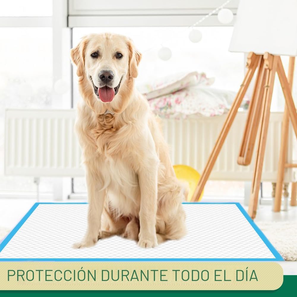 IMMCUTE Almohadillas para cachorros de 22 x 23 pulgadas, 100 unidad...