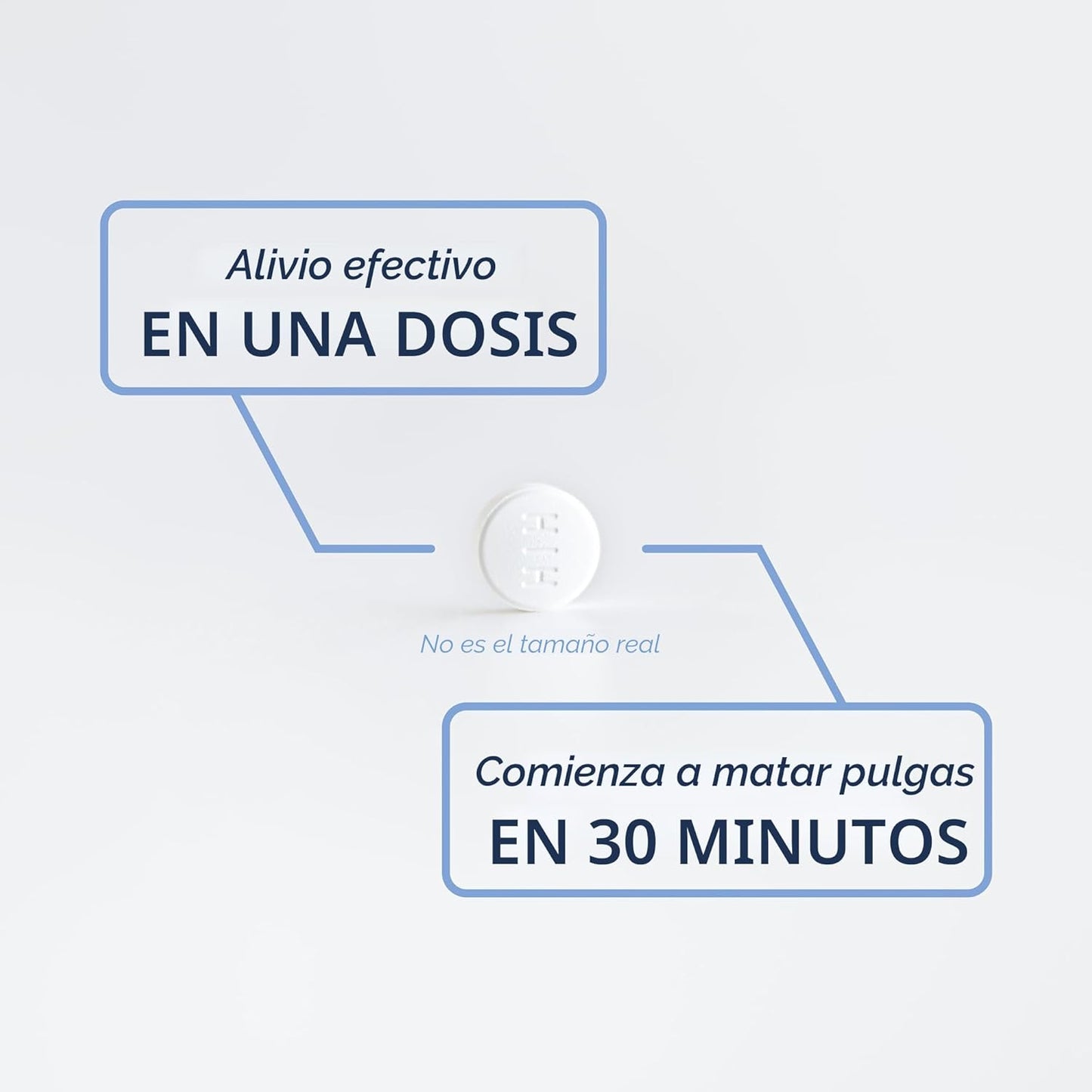 PetArmor CAPACTION (nitenpyram) tratamiento oral contra pulgas para...