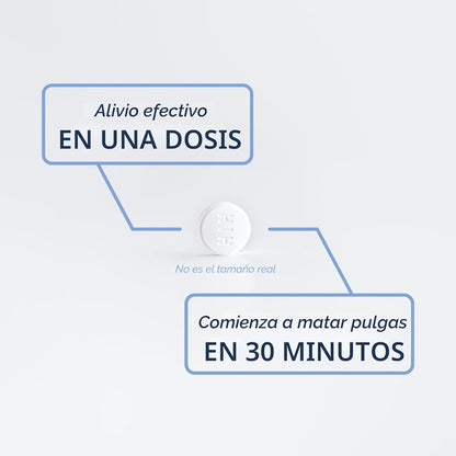 PetArmor CAPACTION (nitenpyram) tratamiento oral contra pulgas para...