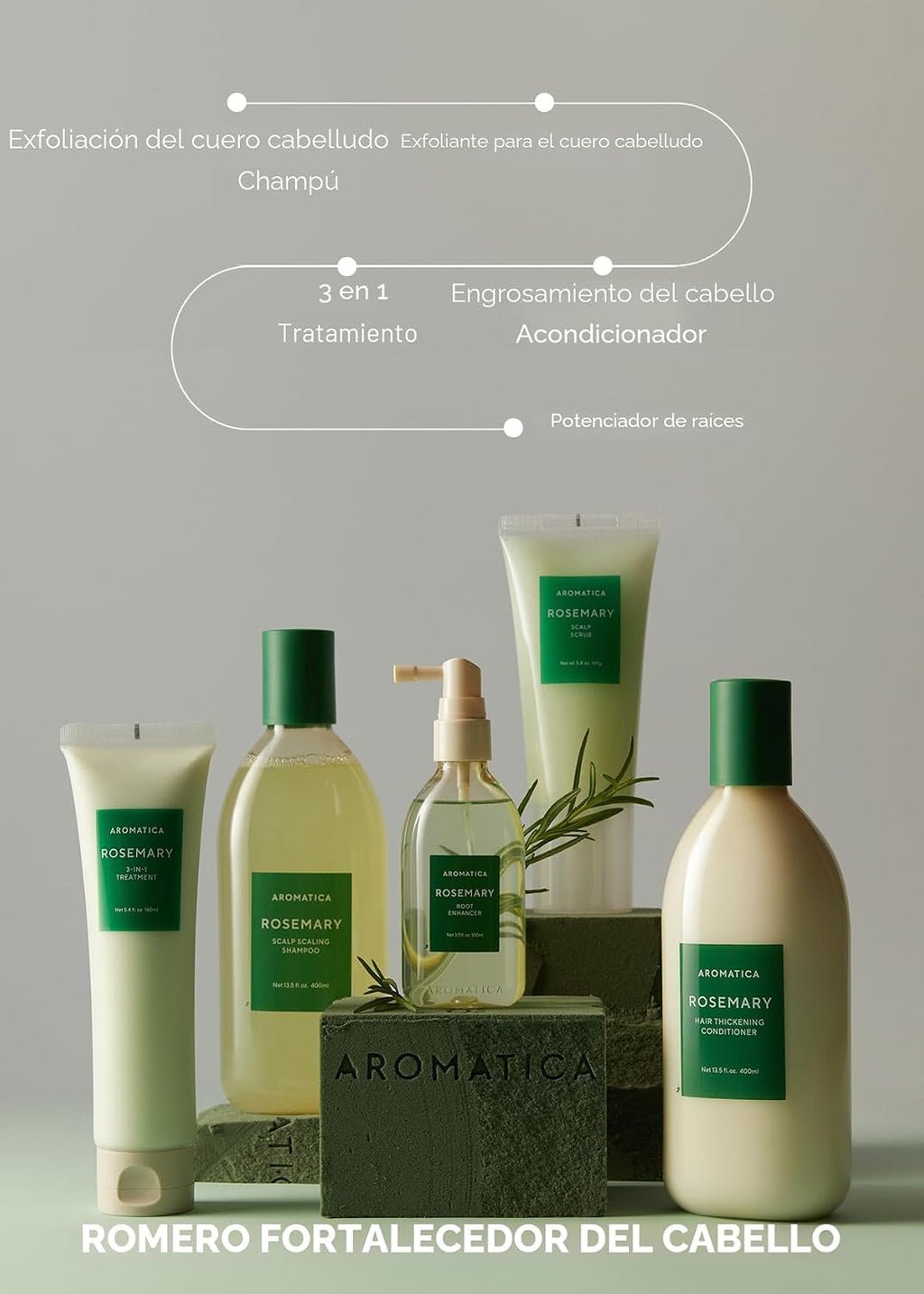AROMATICA Set de champú y acondicionador para escamar el cuero cabe...
