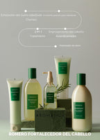 AROMATICA Set de champú y acondicionador para escamar el cuero cabe...