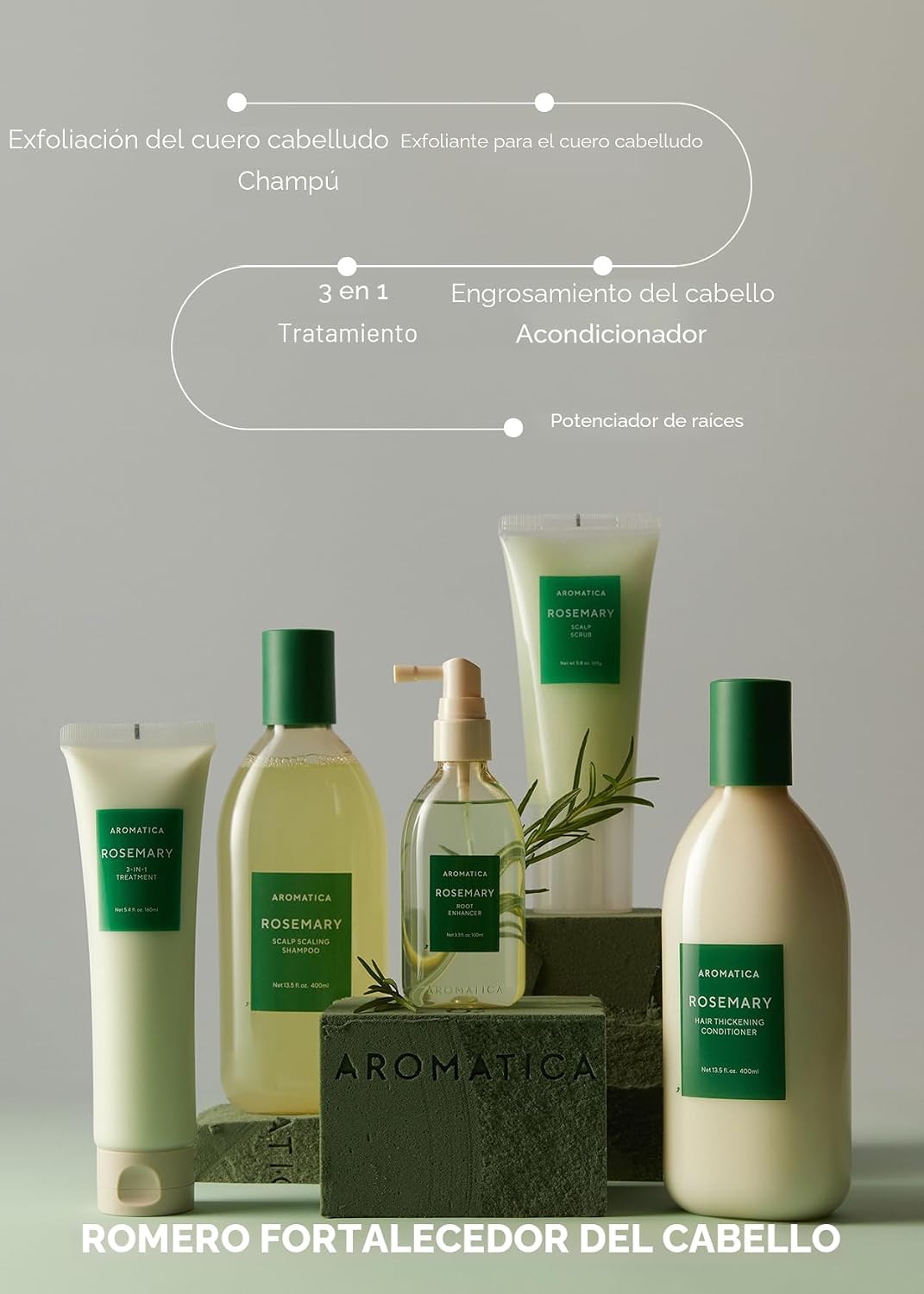 AROMATICA Set de champú y acondicionador para escamar el cuero cabe...
