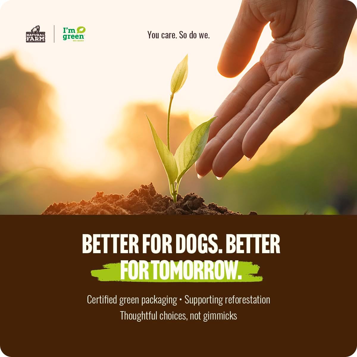 Natural Farm Bully Sticks, sin olor, (6 pulgadas, 12 onzas), empaqu...