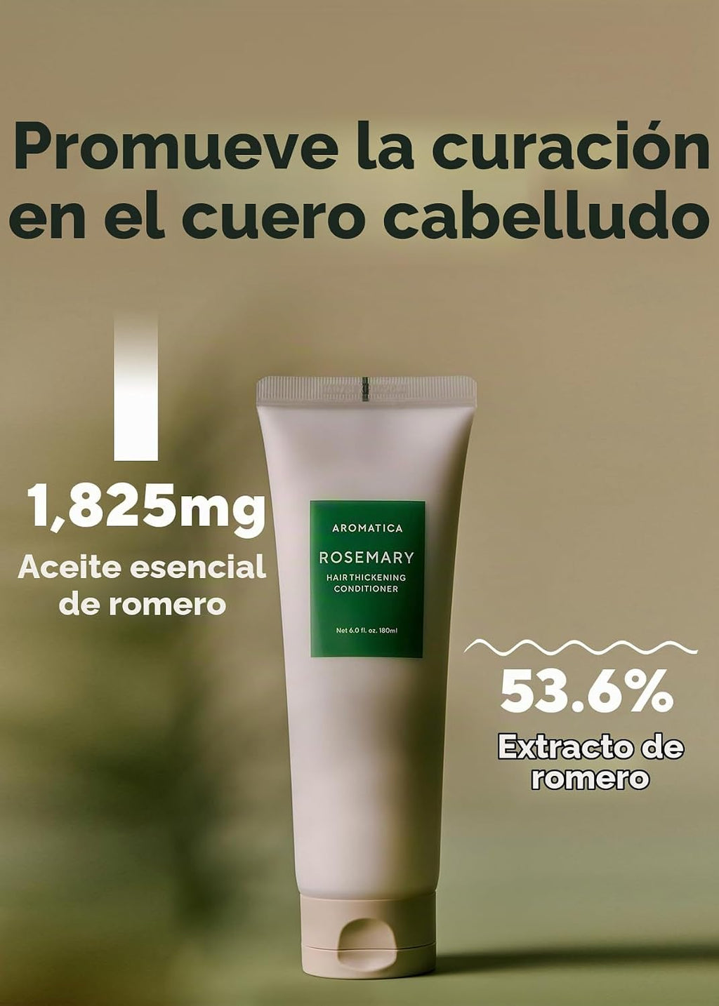 AROMATICA Acondicionador engrosador de cabello de romero (6.0 onzas...