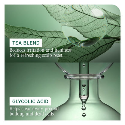 Biolage Scalp Sync - Concentrado purificador - Tratamiento exfoliante y aclarador del cuero cabelludo seco, refrescante y revitalizante, mezcla de té fermentado y ácido glicólico