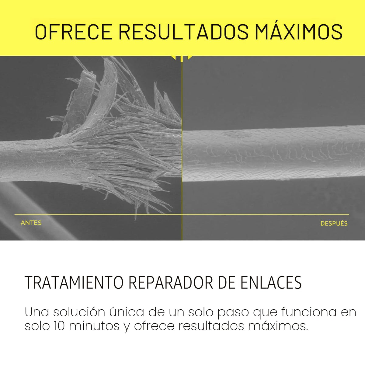 epres Sistema de cuidado del cabello Bond Repair para un cabello má...